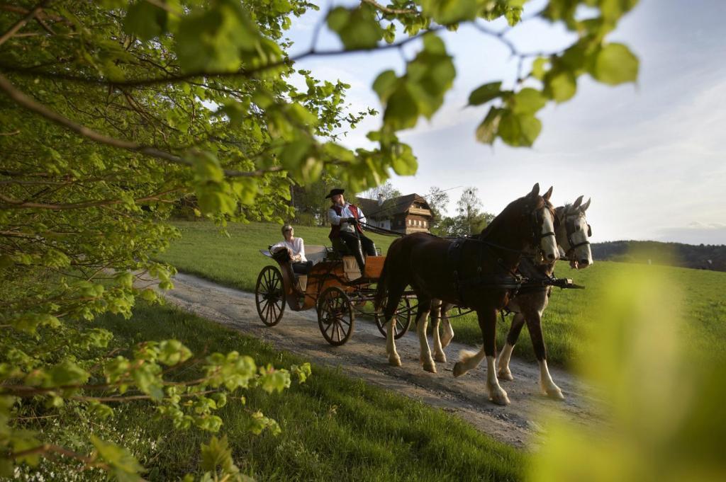 Ferienhaus Troadkasten - Familie Friedrich Хартберг Екстериор снимка